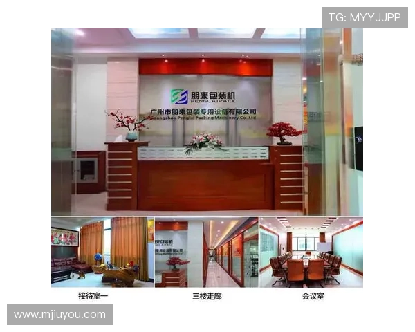 凯发集团简介资料帮助用户了解公司背景与行业内的竞争优势